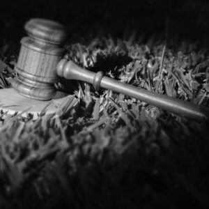 Diritto Civile e Commerciale