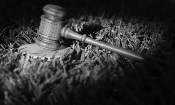 Diritto Civile e Commerciale